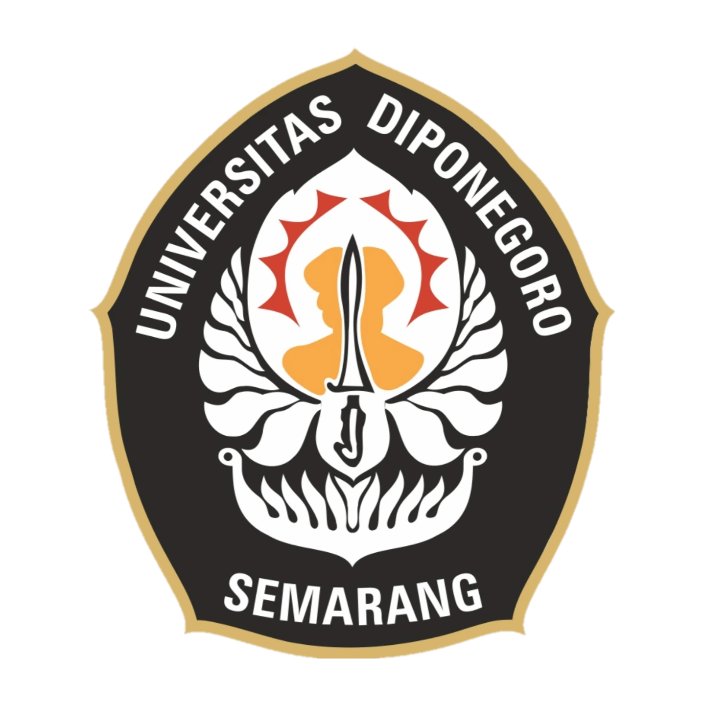 UNDIP